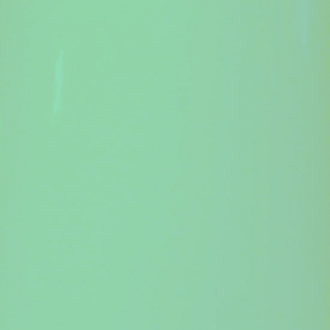 RAL 6019
